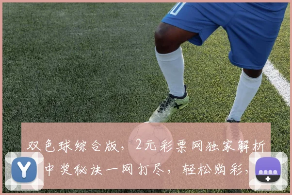 双色球综合版，2元彩票网独家解析，中奖秘诀一网打尽，轻松购彩，快乐分享