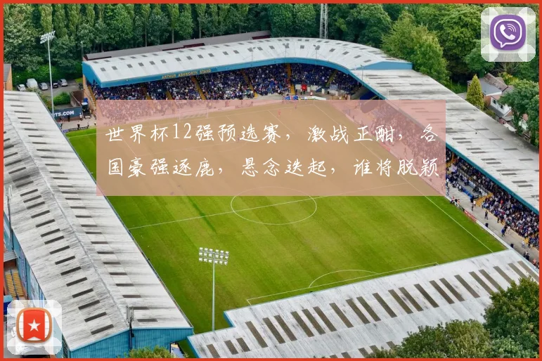 世界杯12强预选赛，激战正酣，各国豪强逐鹿，悬念迭起，谁将脱颖而出