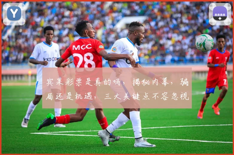 宾果彩票是真的吗，揭秘内幕，骗局还是机遇，三大关键点不容忽视，谨慎选择